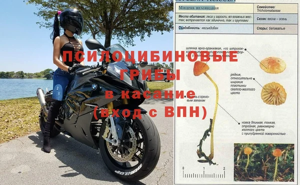 спайс Алексеевка