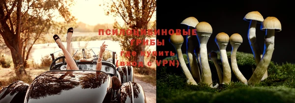 мдпв Переславль-Залесский